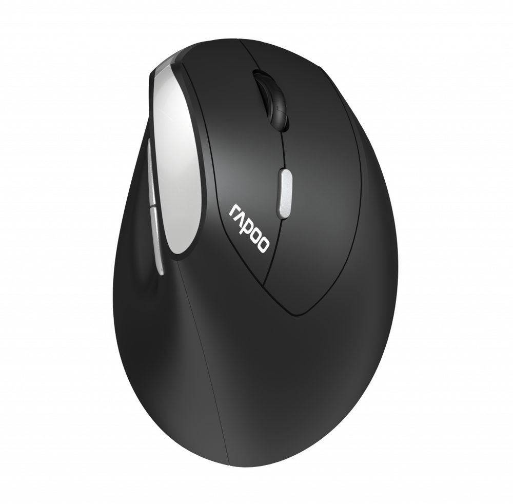 RAPOO EV250 - Ergo  wireless optical   mouse