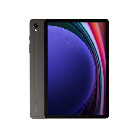 Samsung IM Samsung Galaxy Tab S9 / 11'' 5G 12GB RAM+256GB Int Memory