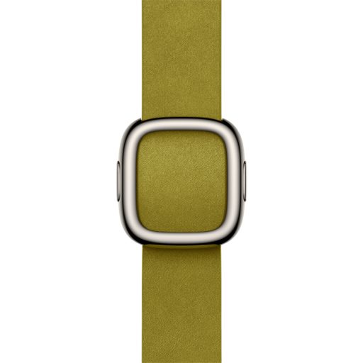 APPLE 42mm Chartreuse Modern Buckle - Large