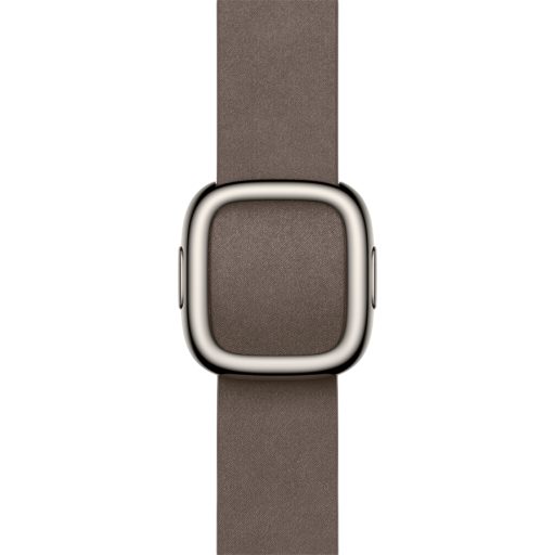 APPLE 42mm Dark Taupe Modern Buckle - Large