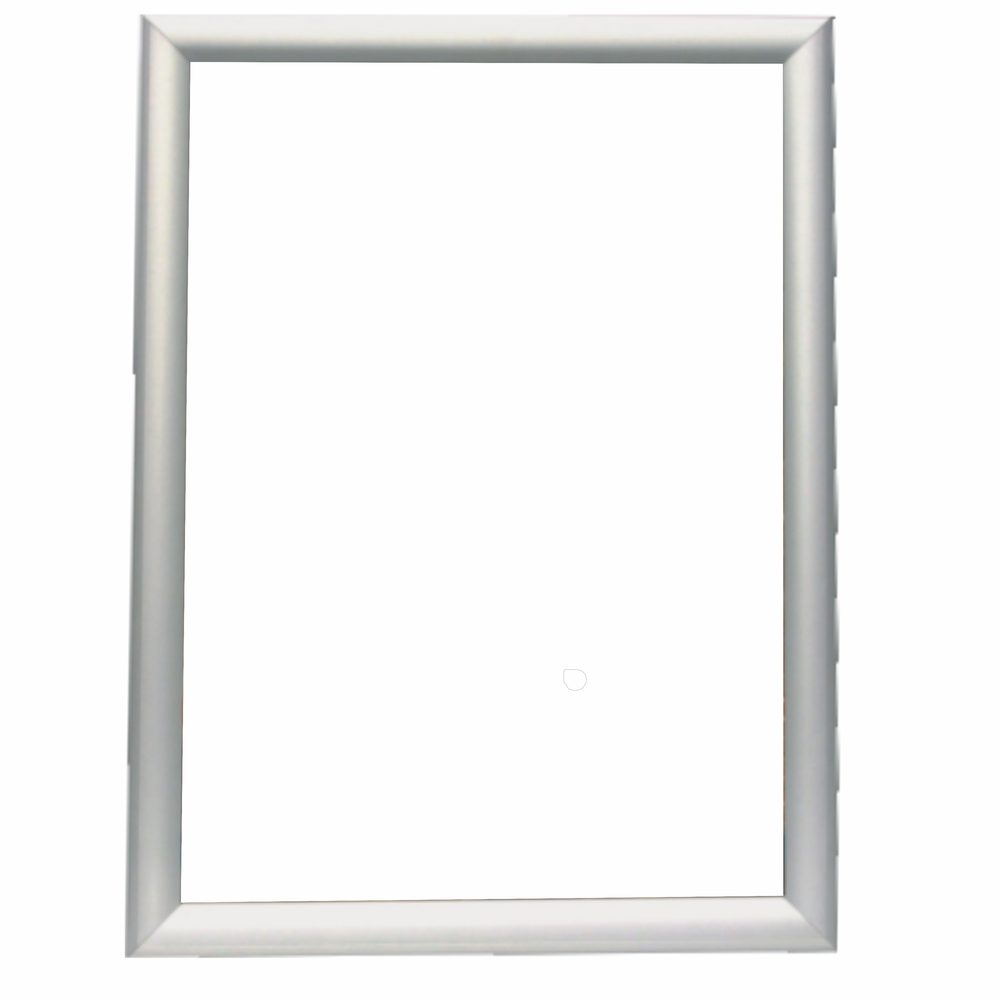 Parrot Products Poster Frame (A0 - 1230*870mm - Single Mitred - Econo)
