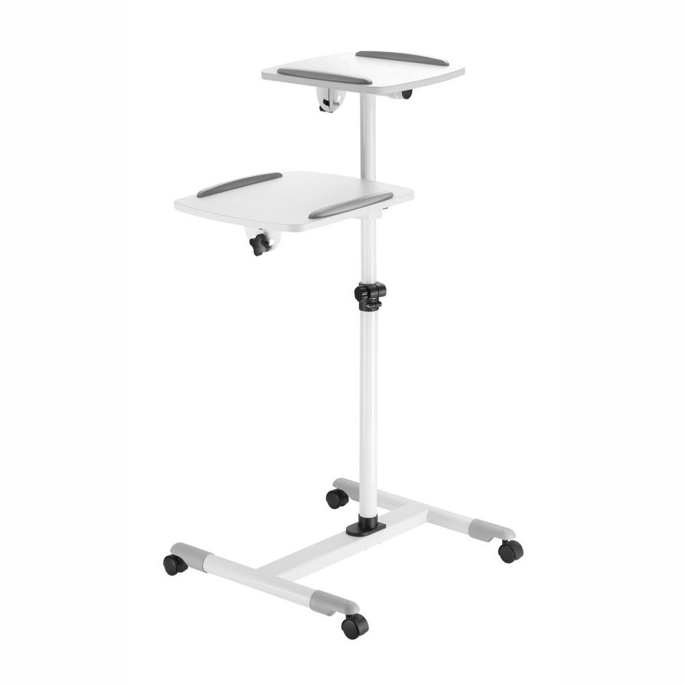 Parrot Products Data Projector and Laptop Trolley (1000*880*620mm - Steel)