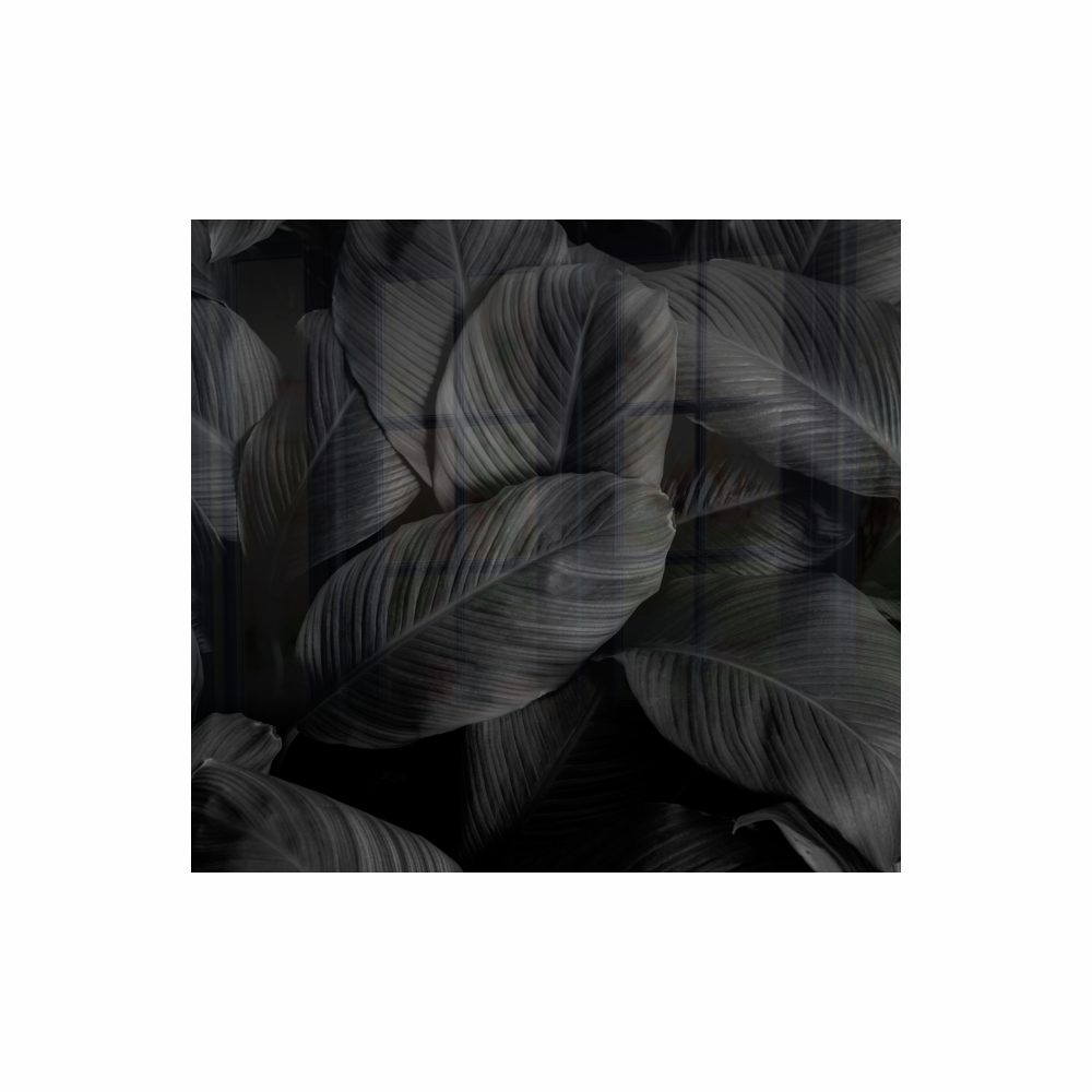 Parrot Products Decorative Glass Wall Tile 598MM X 650MM Feathers