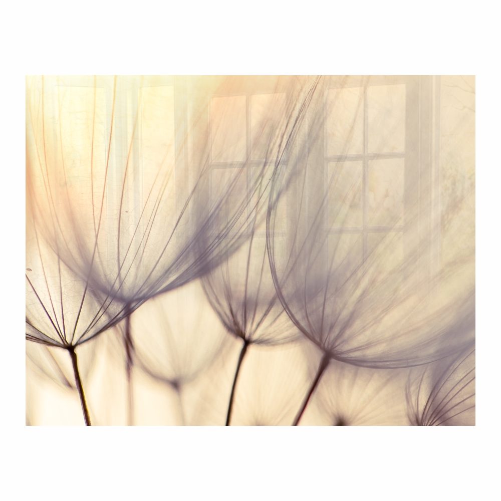 Parrot Products Decorative Glass Wall Tile (898 X 700 X 6mm) Dandelion Floret