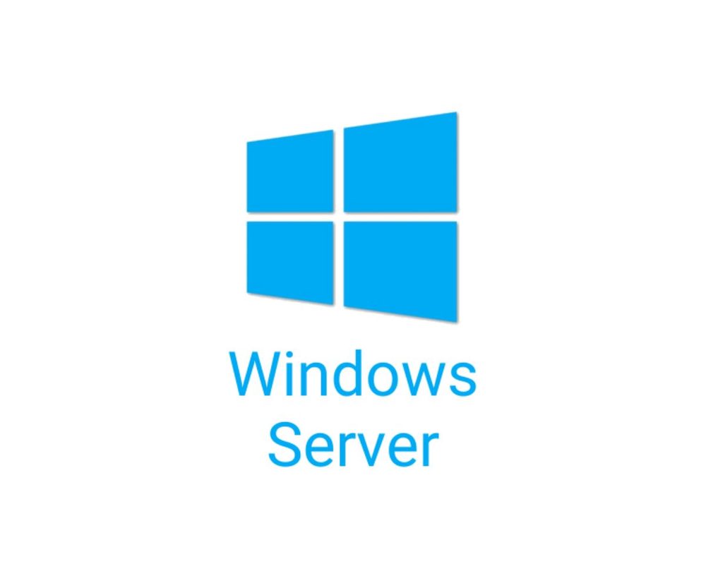 Dell E 50 pack of Windows Server 2025/2022 User CALs (STD or DC) Cus Kit