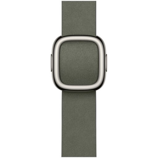 Apple 42MM SAGE GRAY MODERN BUCKLE - SMALL