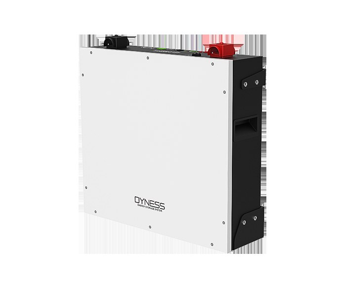 Renewable Energy DYNESS BATTERY DL5.0C Version2 (5.12Kwh. 100AH 51.2V; LV) - 7 Year Warranty