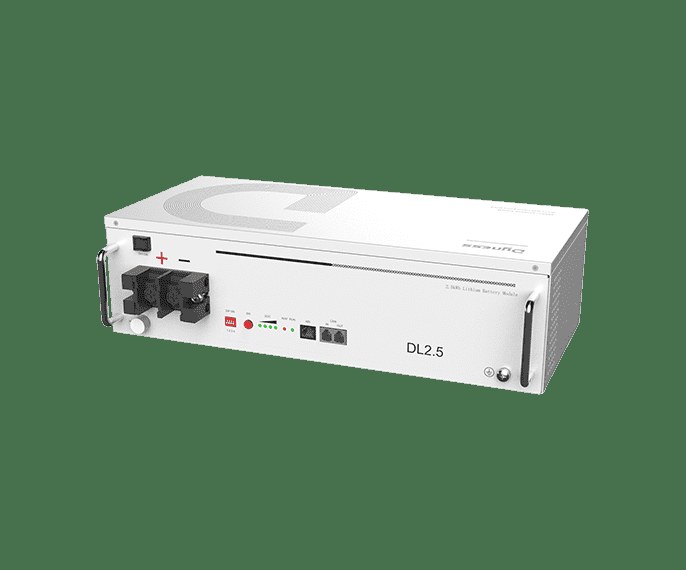 Renewable Energy DYNESS DL2.5 25.6V 100Ah 2.56kWh LiFePo Battery -5 year warranty