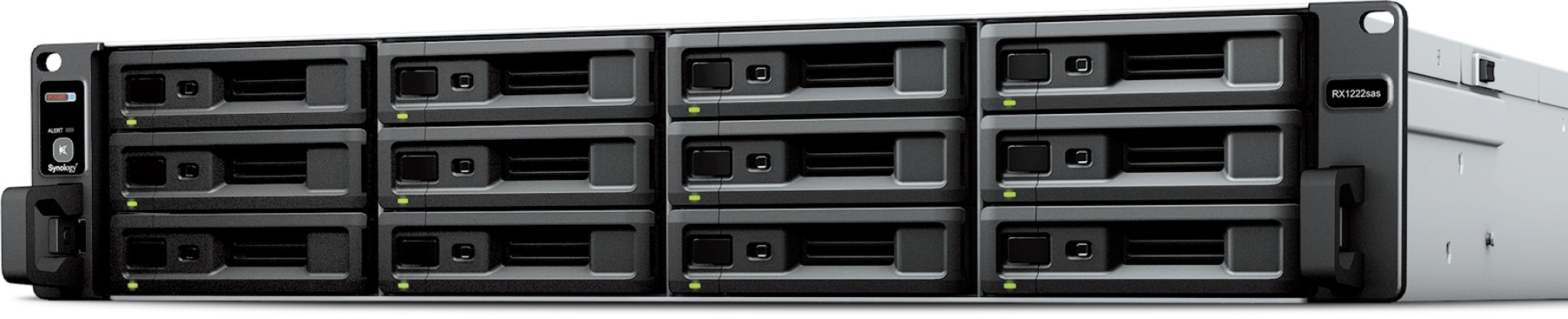 Synology RX1222sas Expansion Unit - Storage enclosure - 12 bays (SATA-600 / SAS) - rack-mountable - 2U