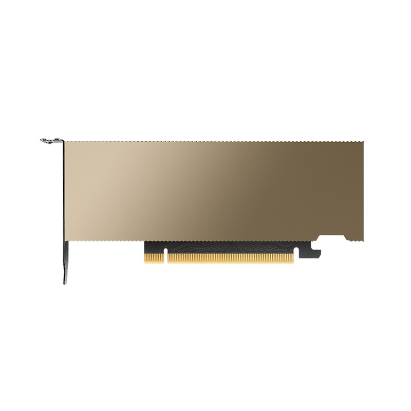 PNY LowProfile with ATX bracket mounted PCI-Express x16 Gen 4.0; 72W