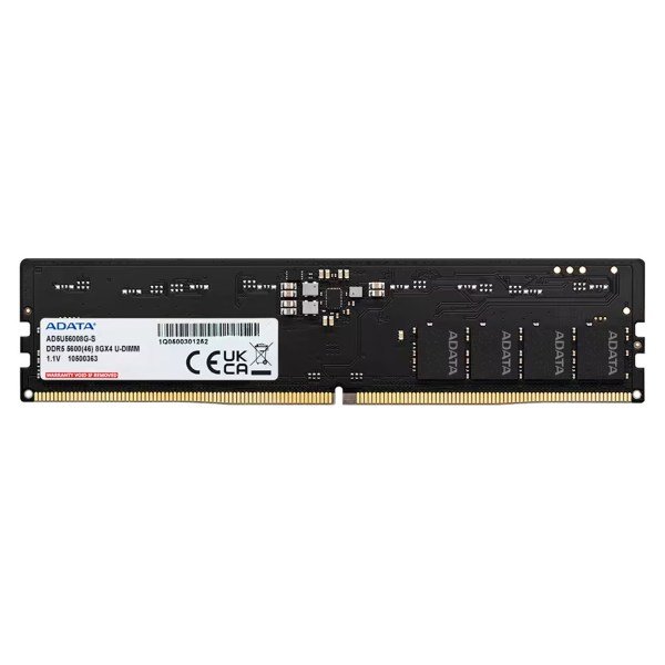 Proline 8GB 5600MHz UDIMM
