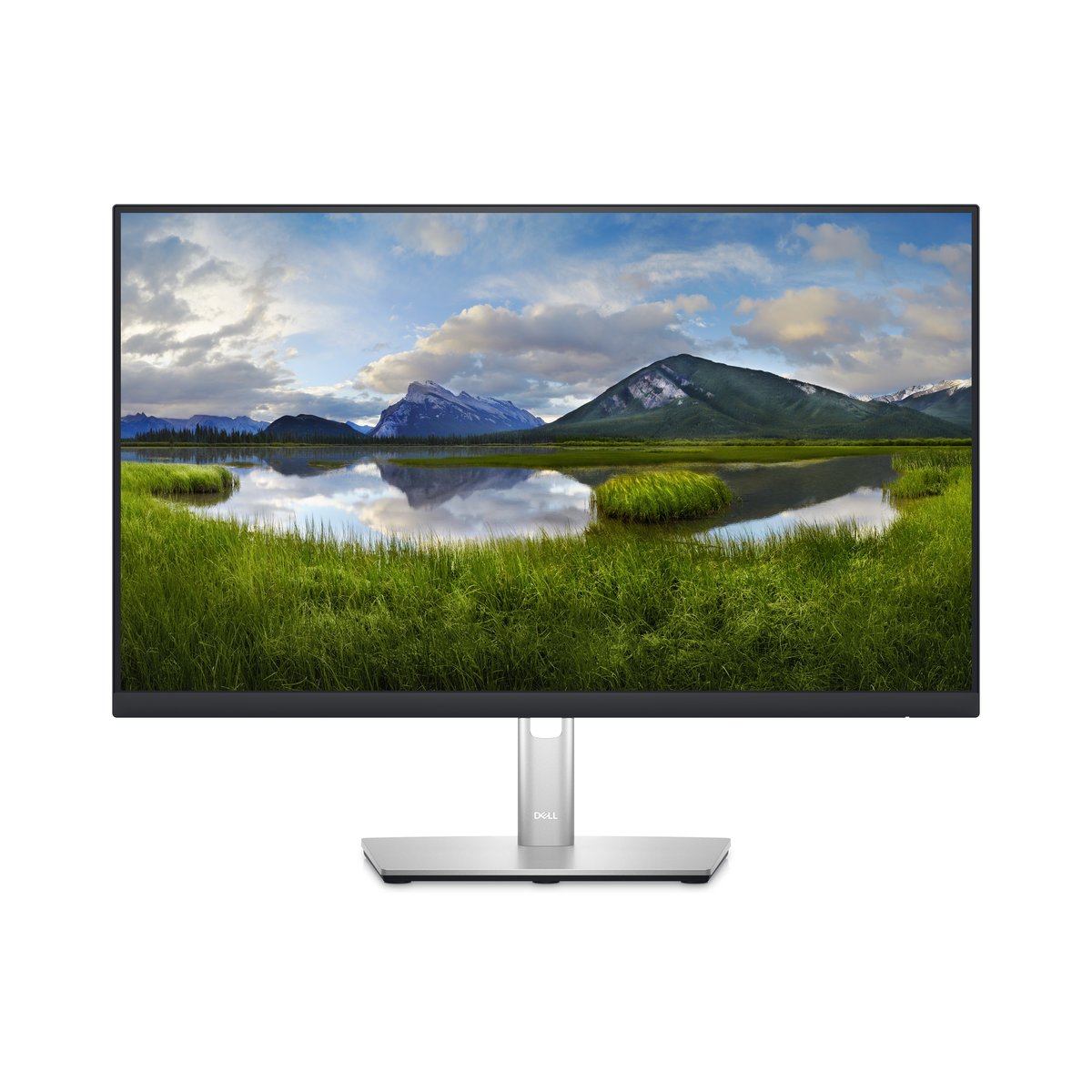 Unknown CPO DELL 24 MONITOR - P2423D - 60.5CM (23.8IN)
