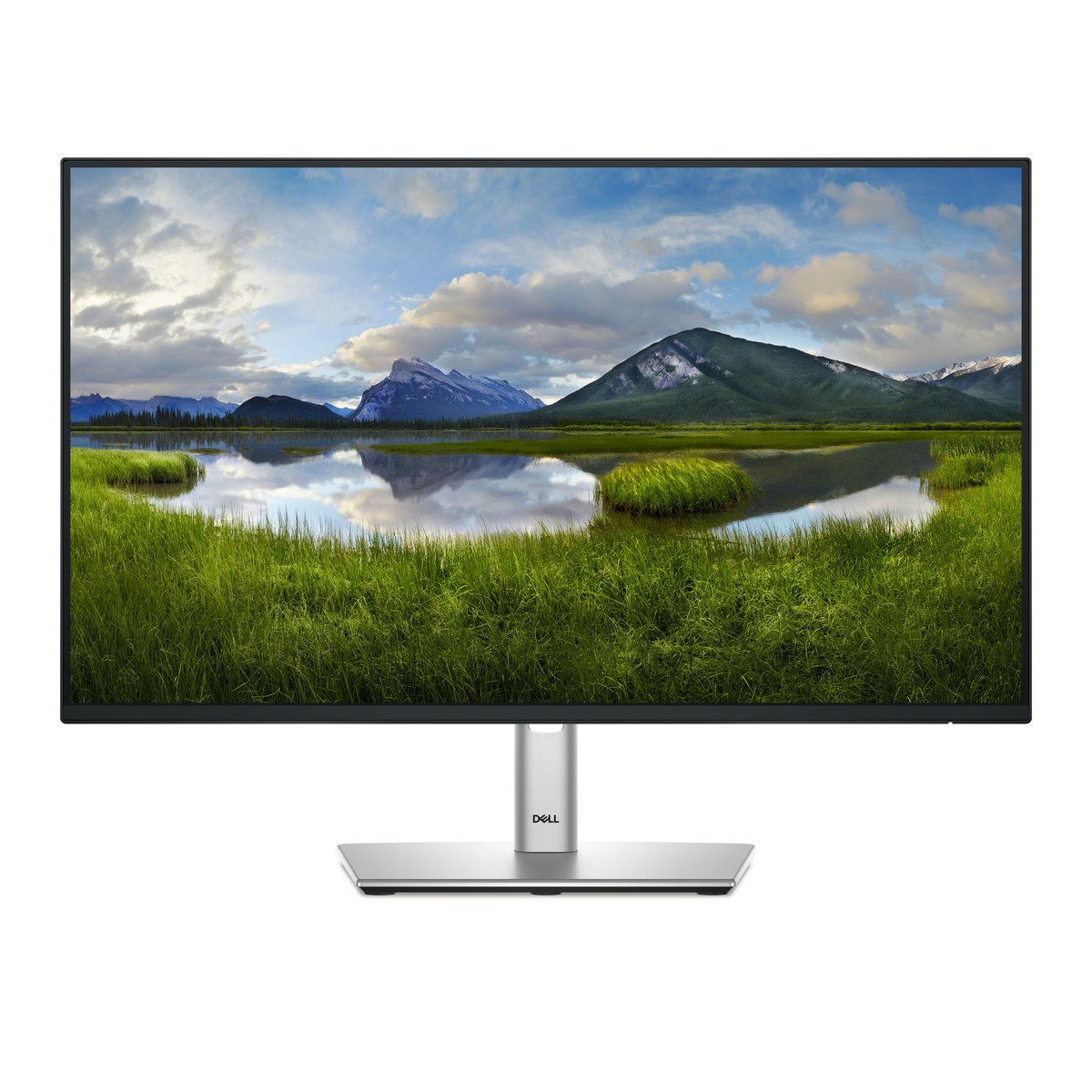 Dell Pro 24 Plus - P2425HE - (23.8") (1920x1080 at 100Hz) FHD IPS LED USB-C Hub Monitor / 16:9 / 1x HDMI 1.4 (HDCP 1.4) / 1x DP 1.4 (HDCP 1.4) / 1x DP-out (1.4) with MST (HDCP 1.4) / 1x RJ45 / 1x USB 3.2 Gen1 Type-C upstream (Alt. mode with DP1.4) with up to 90W PD / 3x USB 3.2 Gen1 Type-A downstream / 1x USB 3.2 Gen1 Type-C downstream with up to 15W PD (data only) / Height-Adjust / Tilt / Swivel / Pivot / VESA