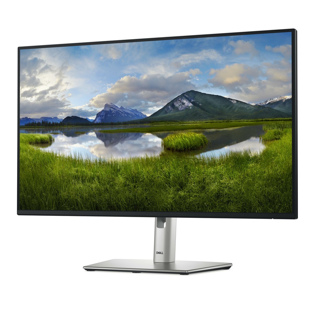 Unknown CPO DELL P2725H 27IN MONITOR