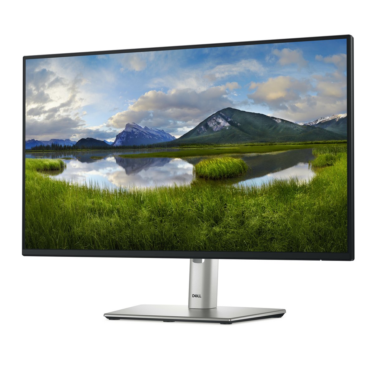 Unknown CPO DELL P2425H 23.8IN FHD MONITOR