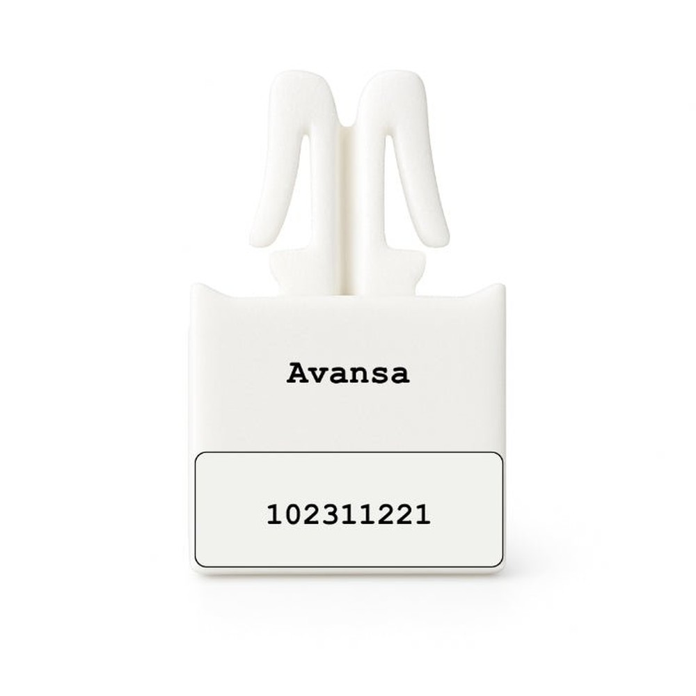 Avansa Security Bag Seals x1000 per pack