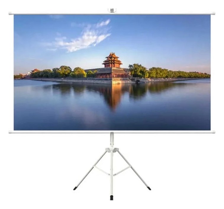HTPNEO 100" 16:9 Portable Projector Screen with Tripod Stand (100TS169)
