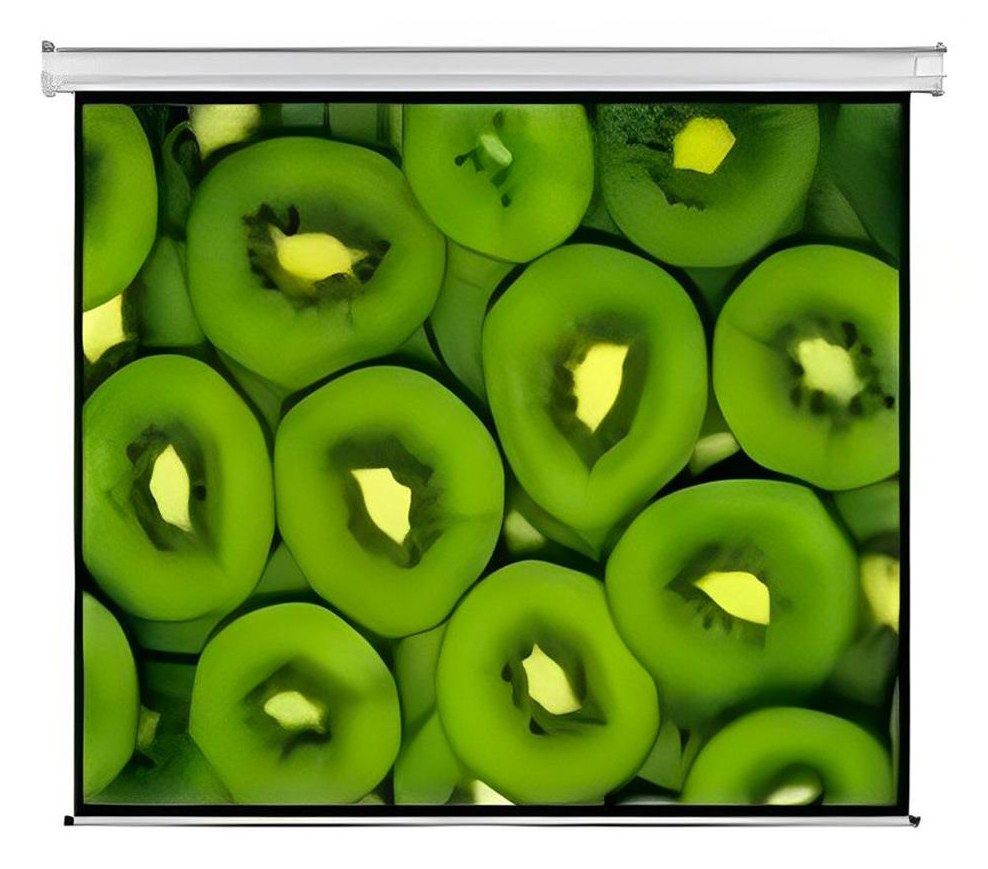 Esquire CEW300 Electric Projector Screen 300 x 169cm